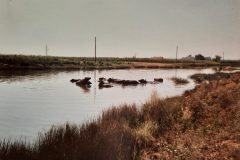 Zuerich-Athen_1988_048-scaled