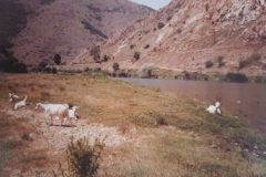 Zuerich-Athen_1988_060-scaled