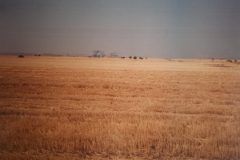 Zuerich-Athen_1988_104-scaled