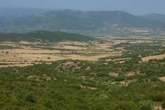 235_P1020145
