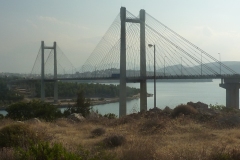 251_P1020203