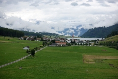 DSC01981