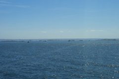 20220715_125025-scaled