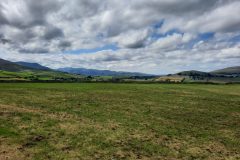 20220721_121653-scaled
