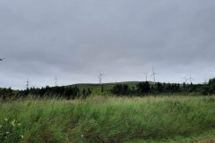 20220722_112323-scaled