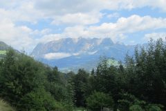 IMG_7187-scaled