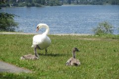 IMG_7194-scaled