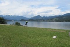 IMG_7196-scaled