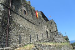 IMG_6784-scaled