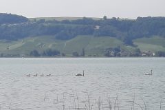 20210723_164425-scaled